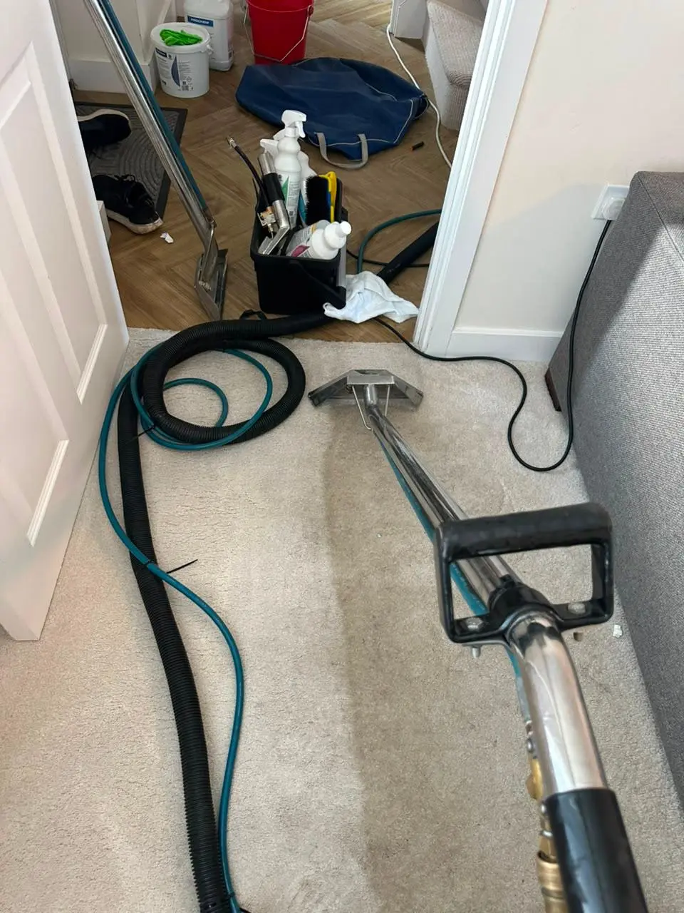 Professional rug steam cleaning